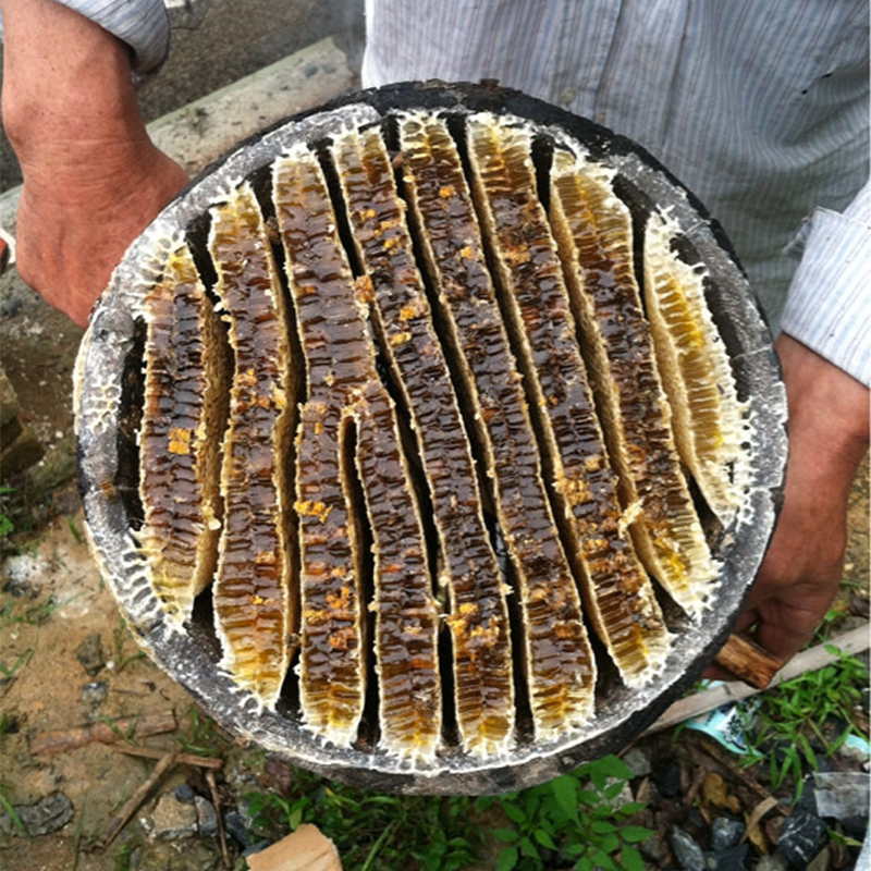 圆桶土蜂蜜图片